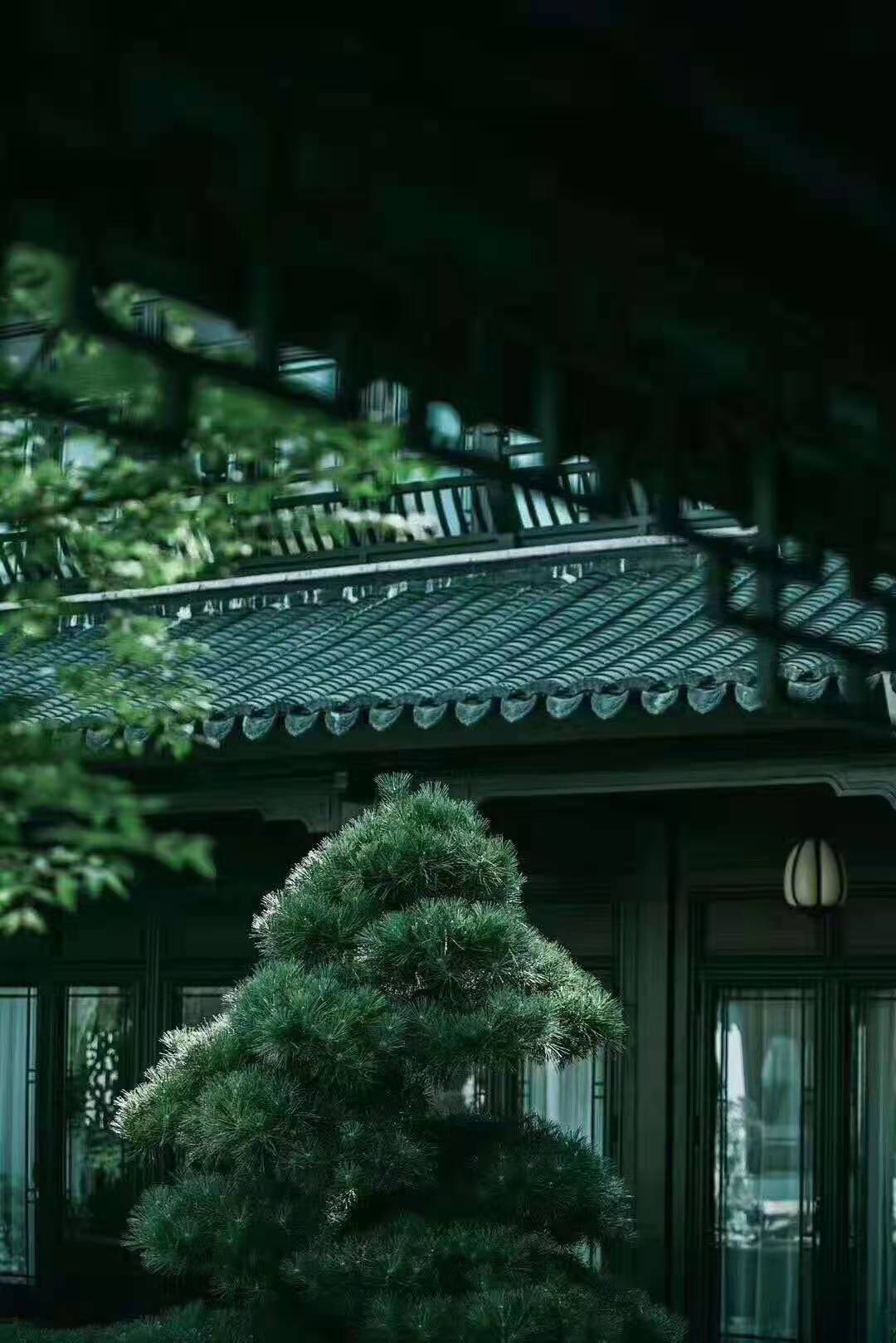 中式園林仿古門窗.jpg